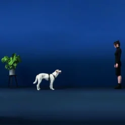 HUNTER Maldon Dog Harness – Black/Grey 7 HUNTER Maldon Dog Harness – Black/Grey -Happy Pet Shop 100413 hunter geschirr maldon hs 03 2