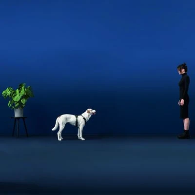 HUNTER Maldon Dog Harness – Black/Grey 4 HUNTER Maldon Dog Harness – Black/Grey - Image 4