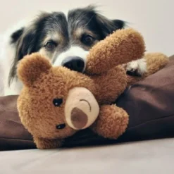 Petlando Moodles Bear -Happy Pet Shop 106623 petlando moodles bar hs 02 8