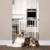 Carlson Pet Gate With Cat Flap