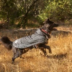 KONG OUTERWEAR Elements Raincoat Black -Happy Pet Shop 130697 paw kong elements regenmantel schwarz 30kg hs 04 2