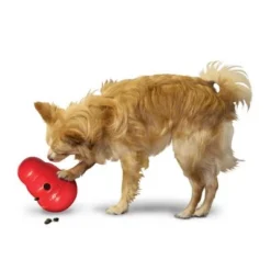 KONG Wobbler Dog Toy -Happy Pet Shop 1355067777031411080314 3