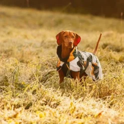 Rukka® Stormy Dog Coat - Camouflage -Happy Pet Shop 139796 lfashion rukka stormy hundemantel camouflage hs 07 5