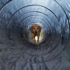 Trixie Agility Tunnel -Happy Pet Shop 15686 trixie agility tunnel fg 16 7