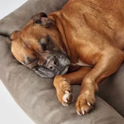 Hunter Bologna Dog Sofa - Stone -Happy Pet Shop 163796 hunter hundesofa bologna stein dog 90x70cm hs 05 6