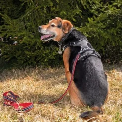 Petlando Pawz & Pepper Strong Dog Harness – Red/Black -Happy Pet Shop 174596 174696 petlando fuhrleinestrong rot 230cm hs 09 7