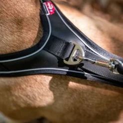 Curli Belka Comfort Harness - Black -Happy Pet Shop 176034 curli belka comfort geschirr schwarz hs 10 7