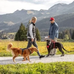 Curli Belka Comfort Harness - Black -Happy Pet Shop 176034 curli belka comfort geschirr schwarz hs 12 7