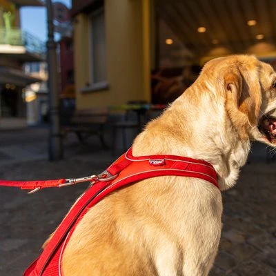 Curli Belka Comfort Harness - Red 7 Curli Belka Comfort Harness - Red - Image 7