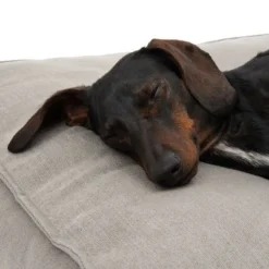 Hamilton EcoLIFE Dog Bed Grey -Happy Pet Shop 180715 hamilton ecolife grau fg 6400 5