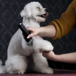 Moser Arco Pro Clippers -Happy Pet Shop 181496 wahl moser schermaschinemoser arcopro hs 06 2