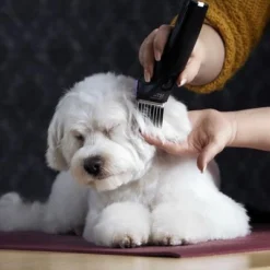 Moser Arco Pro Clippers -Happy Pet Shop 181496 wahl moser schermaschinemoser arcopro hs 07 8