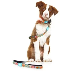 Max & Molly Comic Print Short Lead -Happy Pet Shop 186587 maxnmolly kurzleine comic hs 03 2