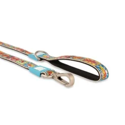 Max & Molly Comic Print Short Lead -Happy Pet Shop 186587 maxnmolly kurzleine comic hs 07 5