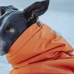 Hurtta Bare Winter Jacket Sunrise -Happy Pet Shop 188296 188297 188298 188299 188300 188301 188302 hurtta forzooplus bare winterjacke sunrise hs 15 9