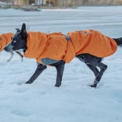 Hurtta Bare Winter Jacket Sunrise -Happy Pet Shop 188296 188297 188298 188299 188300 188301 188302 hurtta forzooplus bare winterjacke sunrise hs 17 5