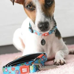 Max & Molly Little Monsters Short Lead -Happy Pet Shop 189596 maxnmolly kurzleine little monsters dog hs 02 6