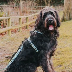 Max & Molly Black Sheep Multifunctional Dog Lead -Happy Pet Shop 190402 190403 190404 maxnmolly multifunktionsleine blacksheep hs 03 7