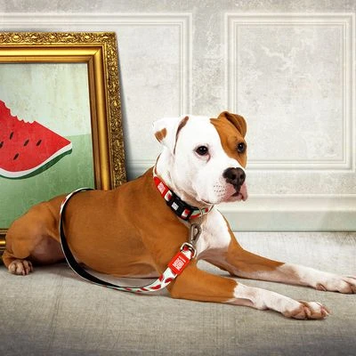 Max & Molly Watermelon Multifunctional Lead 4 Max & Molly Watermelon Multifunctional Lead - Image 4