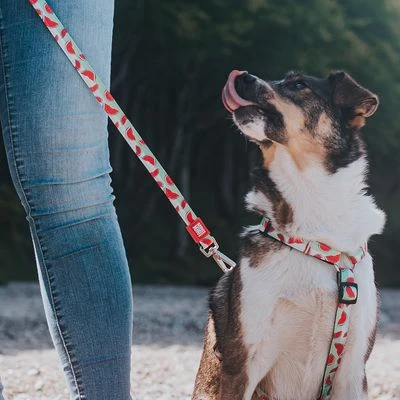 Max & Molly Watermelon Multifunctional Lead 6 Max & Molly Watermelon Multifunctional Lead - Image 6