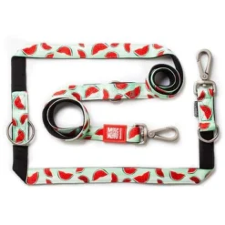 Max & Molly Watermelon Multifunctional Lead