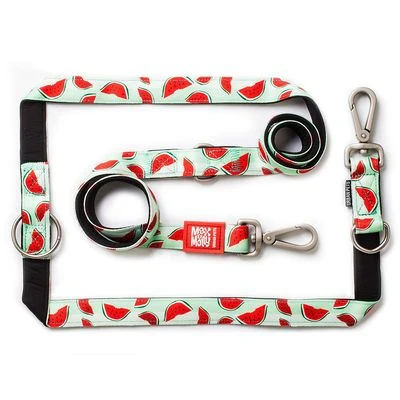 Max & Molly Watermelon Multifunctional Lead 1 Max & Molly Watermelon Multifunctional Lead