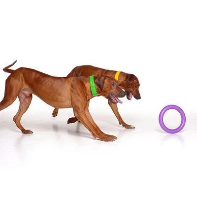 Ferplast Puller Dog Toy 7 Ferplast Puller Dog Toy - Image 7