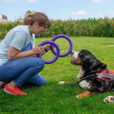 Ferplast Puller Dog Toy 8 Ferplast Puller Dog Toy - Image 8