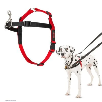 Halti Front Control Training Harness - Image 6
