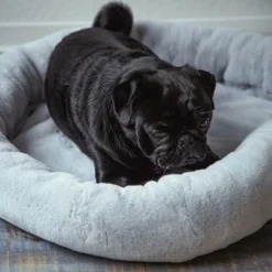 HAFENBANDE Flory Heating Pad -Happy Pet Shop 200322 waagenschmitt hafenbande heizmatte flory hs 11 8