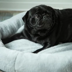 HAFENBANDE Flory Heating Pad -Happy Pet Shop 200322 waagenschmitt hafenbande heizmatte flory hs 12 1