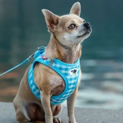 Curli Vest Harness Air-Mesh & Basic Leash - Skyblue Caro -Happy Pet Shop 204197 204198 203950 204199 curli vest geschirr airmesh basic leine skyblue caro hs 06 6
