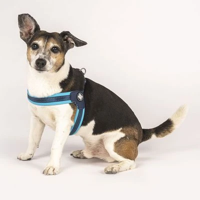 Max & Molly Q-Fit Harness Matrix Sky Blue - Image 7