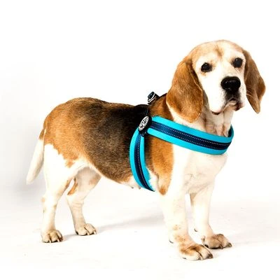 Max & Molly Q-Fit Harness Matrix Sky Blue - Image 3