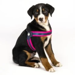 Max & Molly Q-Fit Harness Matrix Pink -Happy Pet Shop 210400 209040 210401 209041 210496 210497 maxnmolly qfit g eschirr matrix pink hs 04 2