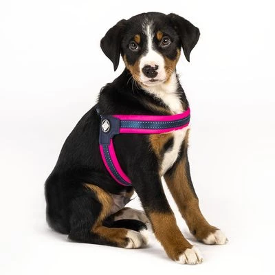 Max & Molly Q-Fit Harness Matrix Pink - Image 4