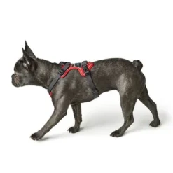 HUNTER Divo Harness – Red/Grey 11 HUNTER Divo Harness – Red/Grey -Happy Pet Shop 212948 214597 214598 212949 212951 hunter geschirr divo rotgrau hs 05 3