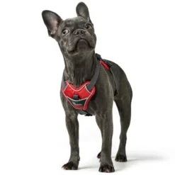 HUNTER Divo Harness – Red/Grey 15 HUNTER Divo Harness – Red/Grey -Happy Pet Shop 212948 214597 214598 212949 212951 hunter geschirr divo rotgrau hs 06 6