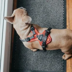 HUNTER Divo Harness – Red/Grey 13 HUNTER Divo Harness – Red/Grey -Happy Pet Shop 212948 214597 214598 212949 212951 hunter geschirr divo rotgrau hs 09 9