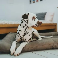 HUNTER Bologna Dog Bed - Stone -Happy Pet Shop 212954 212955 hunter hundebett bologna stein hs 07 0