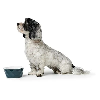 HUNTER Eiby Ceramic Bowl - Blue - Image 3