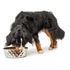 HUNTER Stainless Steel Bowl Namy 10 HUNTER Stainless Steel Bowl Namy -Happy Pet Shop 212976 212972 215197 215196 212978 212974 hunter edelstahlnapf namy hs 02 5 0