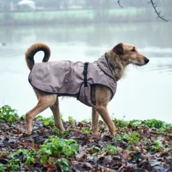 HUNTER Uppsala Dog Coat 13 HUNTER Uppsala Dog Coat -Happy Pet Shop 213996 213997 213998 212936 212937 212938 212939 hunter hundemantel uppsala bejie hs 12 1