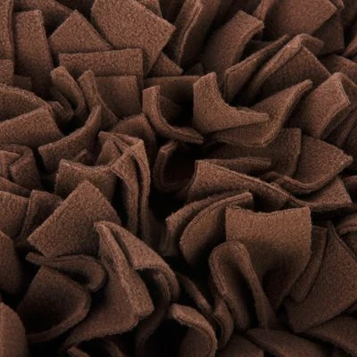 Sniffing Carpet Sunnyflower 4 Sniffing Carpet Sunnyflower - Image 4