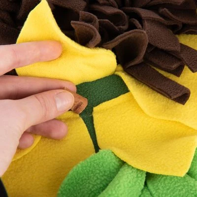 Sniffing Carpet Sunnyflower 7 Sniffing Carpet Sunnyflower - Image 7