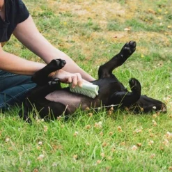 Pet Teezer Puppy Brush -Happy Pet Shop 230724 pet teezer welpenbuerste hs 18 2