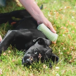 Pet Teezer Puppy Brush -Happy Pet Shop 230724 pet teezer welpenbuerste hs 19 6