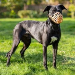 Baskerville Anti-Poison Muzzle -Happy Pet Shop 235200 235201 235696 235796 235897 baskerville antigiftkoeder maulkorb hs 05 0