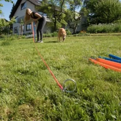 Agility Fun & Sport Slalom Set -Happy Pet Shop 23798 agility fun sport slalom set fg 4 3