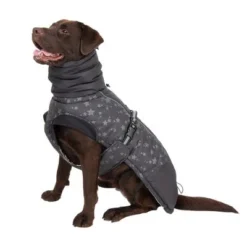 Reflecting Stars Dog Coat 14 Reflecting Stars Dog Coat -Happy Pet Shop 262100 labrador fg 1982 1